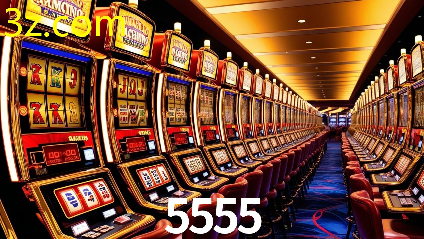 5555.COM